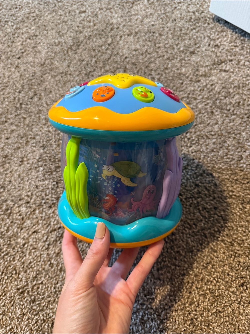Baby Interactive Ocean Sensory Toy - Blue, Yellow, Green